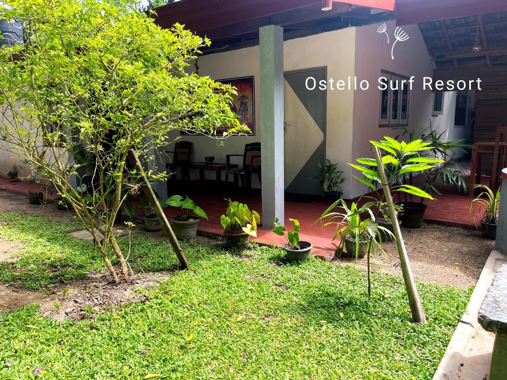 Ostello Surf Resort 아항가마 객실 사진